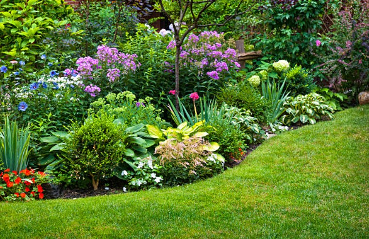 Tree Shrub Flower Planting Installation Jason Simmonds Vine & Branch Landscapes Portland Oregon